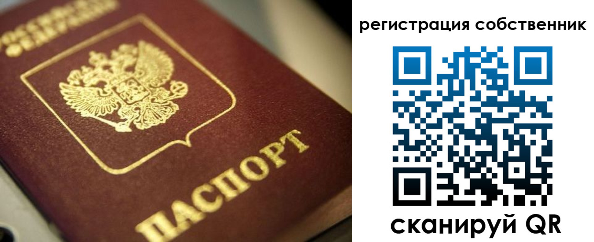 прописка в Элисте